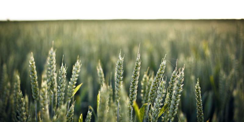 【2024最新】武汉东方医院专家门诊全攻略：时间表、擅长领域与高效就医指南