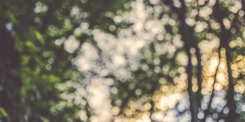 告别反复发作:武汉东方医院呼吸内科的哮喘个体化治疗与终身管理方案