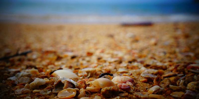 告别反复溃烂的困扰：探秘武汉东方医院伤口造口门诊如何破解慢性创面难题