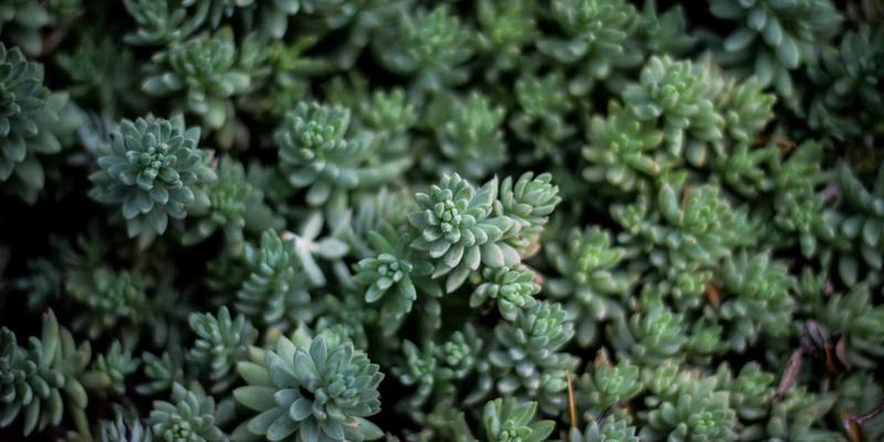 武汉东方医院伤口造口门诊:专业护理如何为糖尿病足与术后难愈伤口打开“愈合之门”