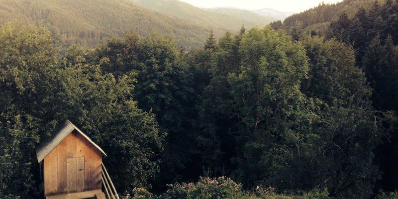 武汉东方医院儿科就医全攻略：专家推荐与夜间急诊指南，守护孩子健康