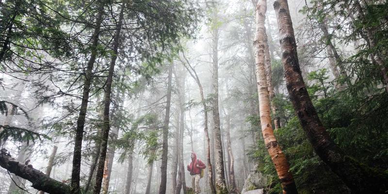 武汉东方医院是三甲医院吗？一文详解其重点科室与医疗服务优势