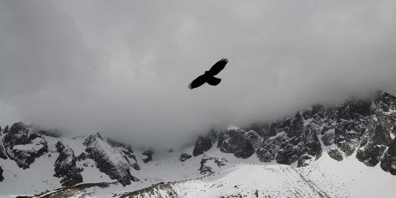 武汉东方医院预约挂号全攻略：官网、电话、APP三大渠道一步到位