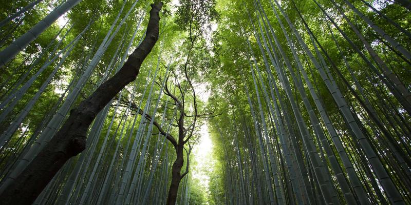 武汉东方医院骨科实力解析：技术优势与特色手术全知道